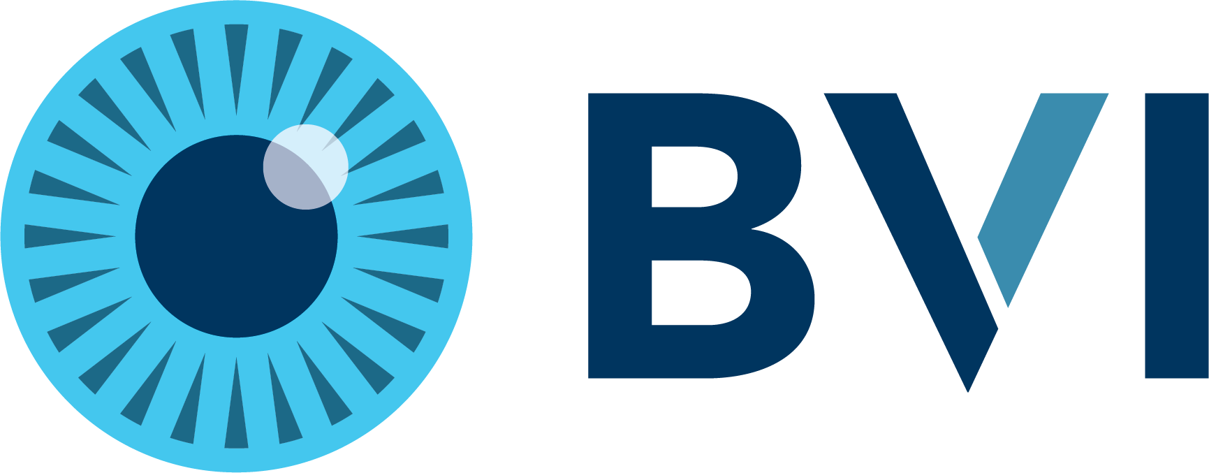 Logo BVI