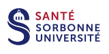 Logo Sorbonne Université